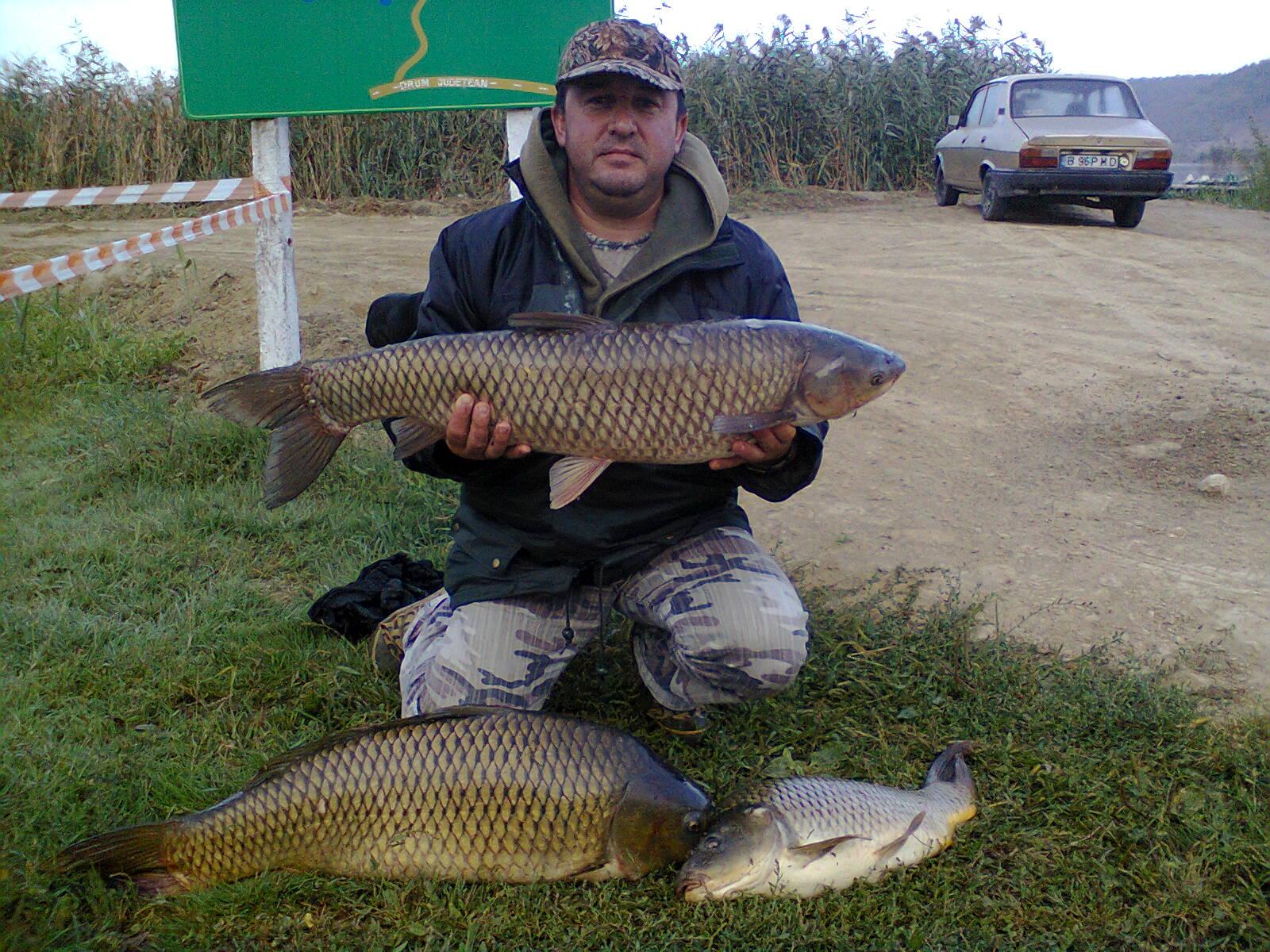 balta vlahi - Fotografie0031.jpg